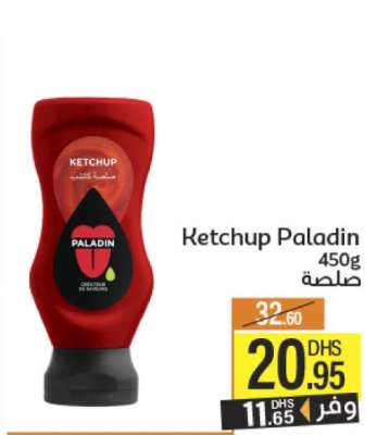 Ketchup Paladin