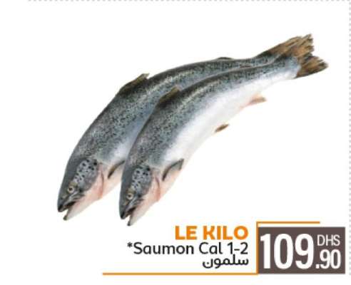 LE KILO *Saumon Cal 1-2