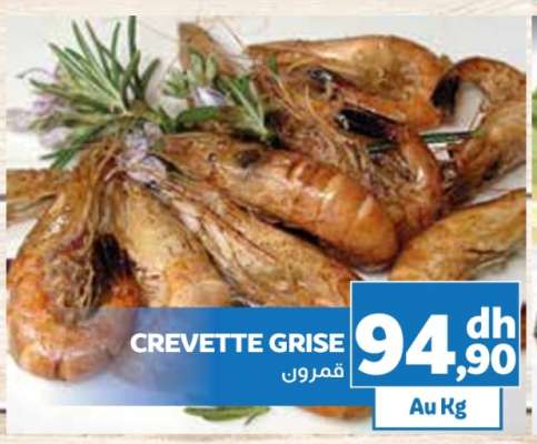 CREVETTE GRISE
