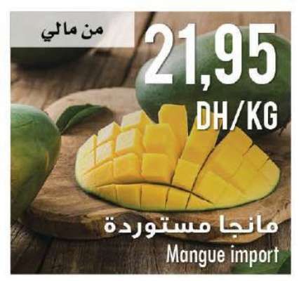 Mangue import