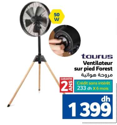 Ventilateur sur pied Forest